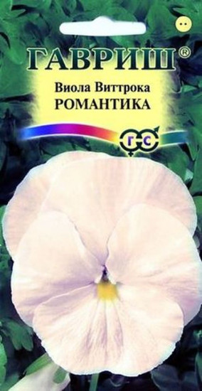 Виола Виттрока «Романтика»