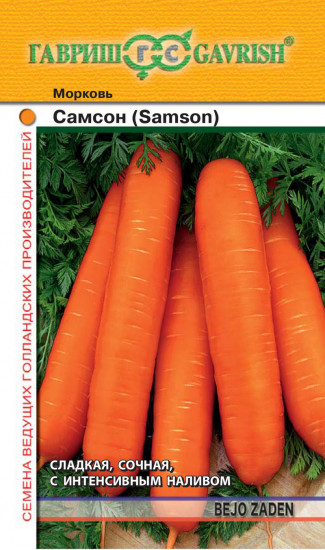 Морковь «Самсон»