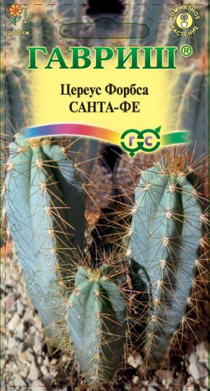 Цереус форбса «Санта-Фе»