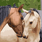 Картина по номерам «Знакомство»