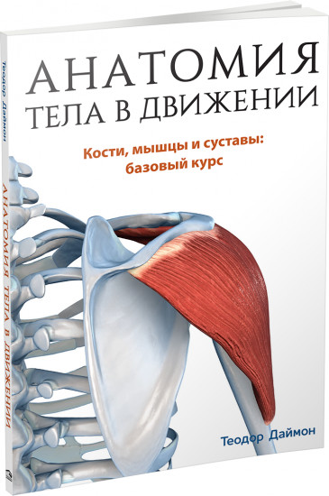 Анатомия тела в движении