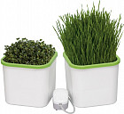 Проращиватель двухмодульный