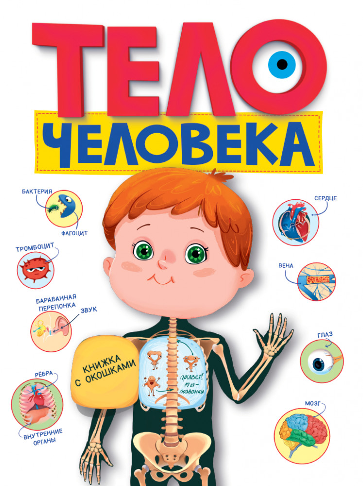 Книжка с окошками. Тело человека | Книжка с окошками