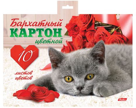 Набор цветного бархатного картона
