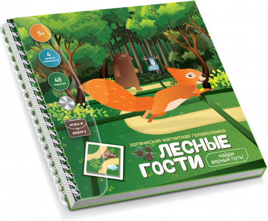 Магнитная головоломка