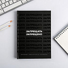 Ежедневник творческого человека «Запрещать запрещено»