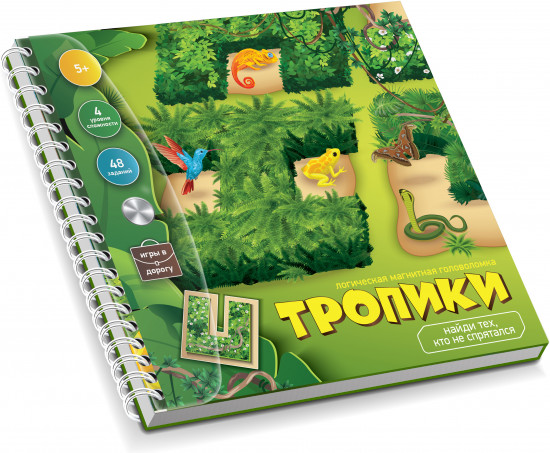 Магнитная головоломка