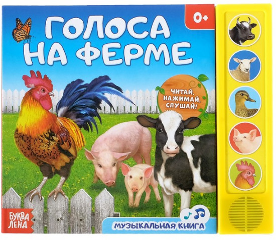 День рождения львёнка
