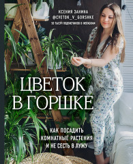 Цветок в горшке