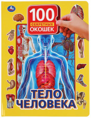 Тело человека