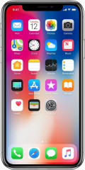 Смартфон Apple iPhone X