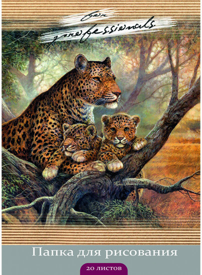 Папка для рисования