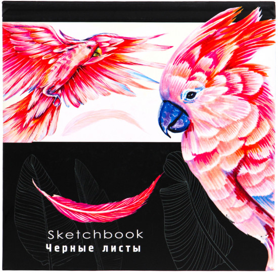 Скетчбук «Рисунок попугая»