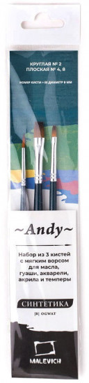 Набор кистей «Andy»