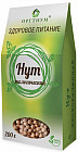 Нут