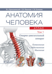 Анатомия человека. Том 1