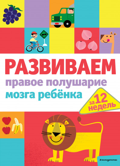 Развиваем правое полушарие мозга ребенка