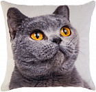 Наволочка декоративная