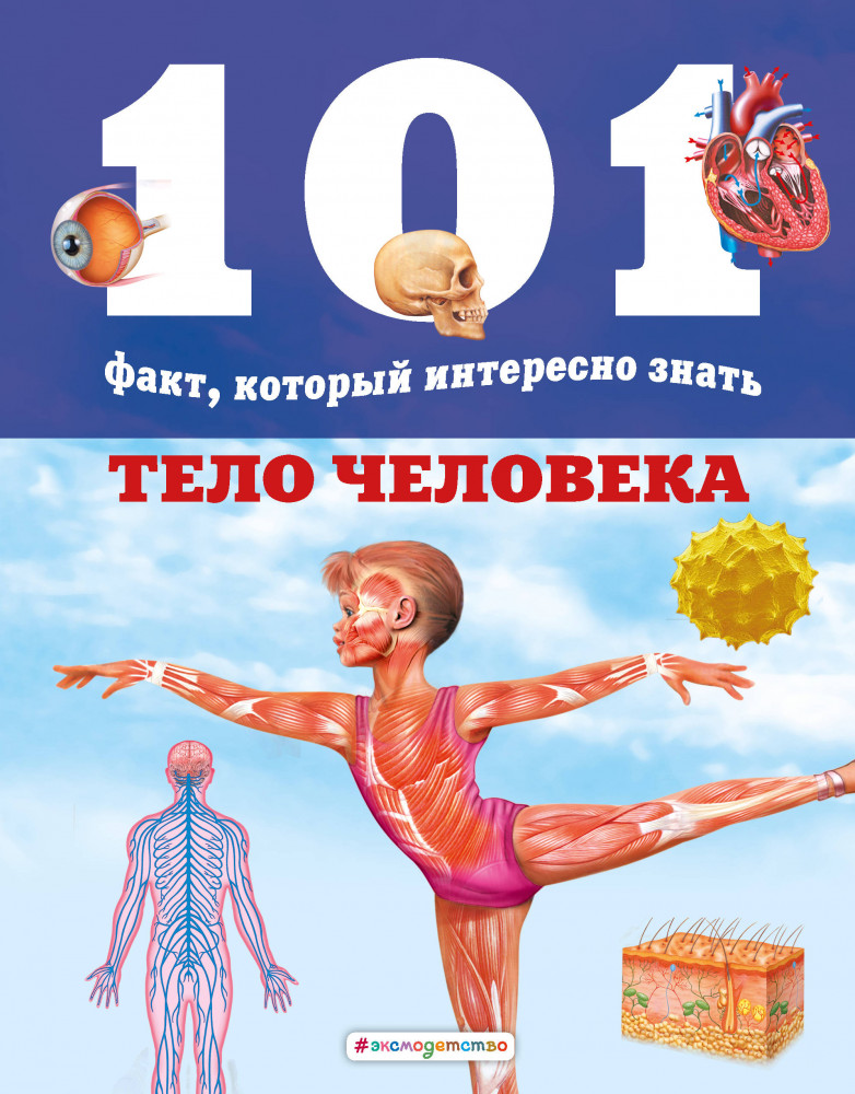 Тело человека | 101 факт, который интересно знать