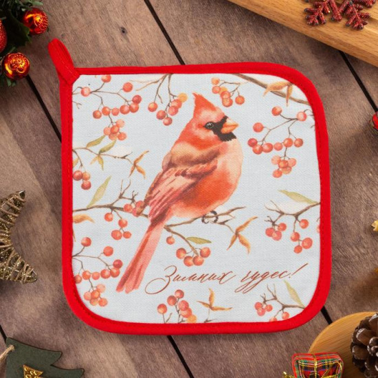 Прихватка «Winter birds»