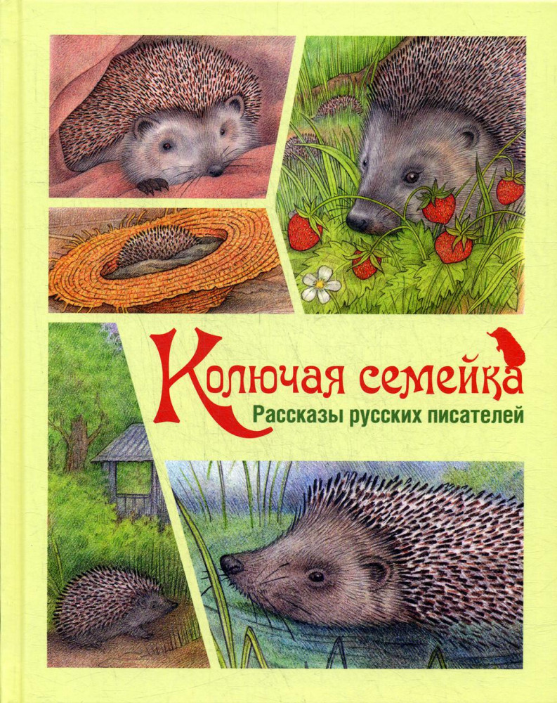 Колючая семейка | Мы соседи по планете
