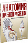 Анатомия лечебной растяжки. Быстрое избавление от боли и профилактика травм