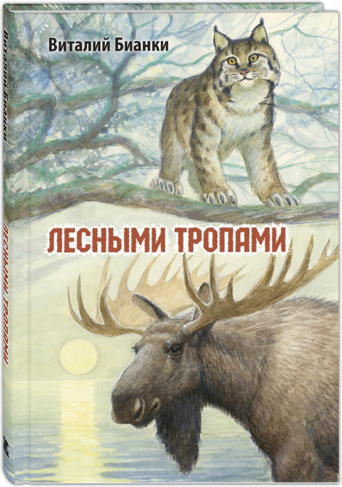 Лесными тропами | Мы соседи по планете