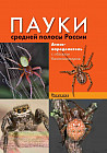 Пауки средней полосы России