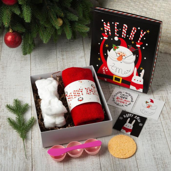Набор подарочный «Merry x-mas»