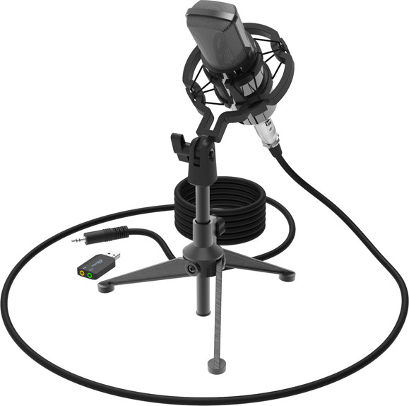 Микрофон RDM-160 | Ritmix