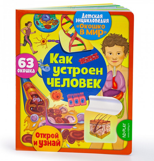 Как устроен человек