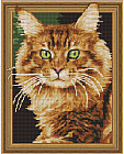 Алмазная мозаика 3D с нанесенной рамкой «Рыжий кот»