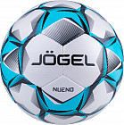 Мяч футбольный