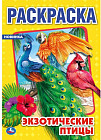 Экзотические птицы. Раскраска