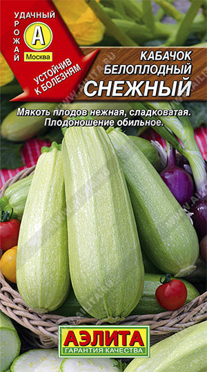 Кабачок белоплодный «Снежный»