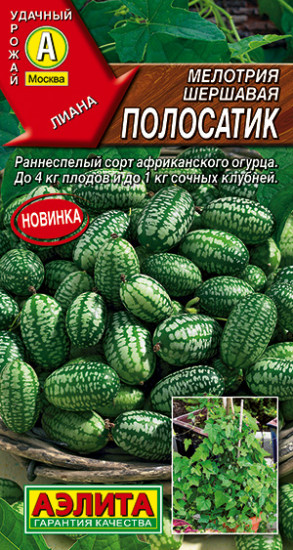 Мелотрия «Полосатик»