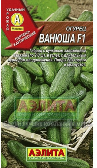 Огурец «Ванюша F1»