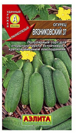 Огурец «Вязниковский 37»