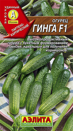 Огурец «Гинга F1»