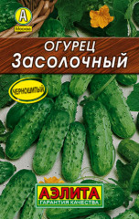 Огурец «Засолочный»