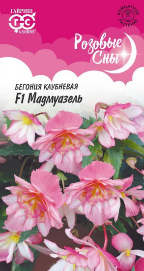 Бегония «Мадемуазель F1»