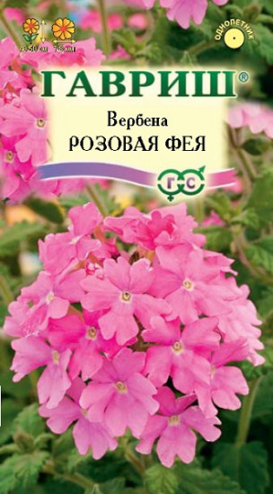 Вербена «Розовая фея»