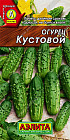 Огурец «Кустовой»