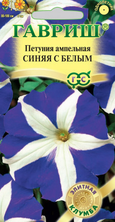 Петуния «Синяя с белым»