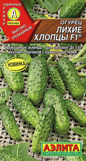 Огурец «Лихие хлопцы F1»