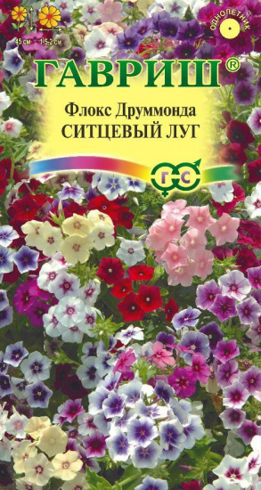 Флокс «Ситцевый луг»