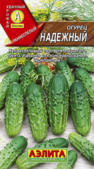 Огурец «Надежный»