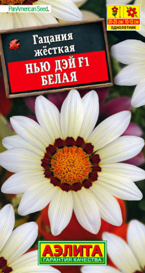 Гацания белая — Однолетние цветы (Аэлита) — Аэлита