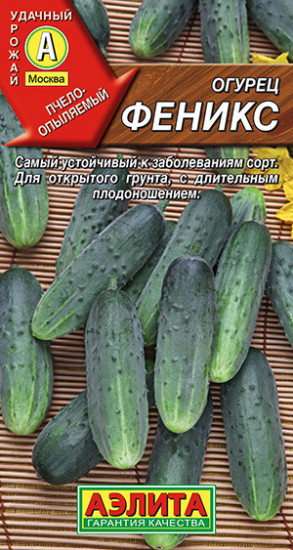 Огурец «Феникс»
