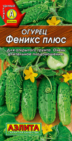 Огурец «Феникс плюс»
